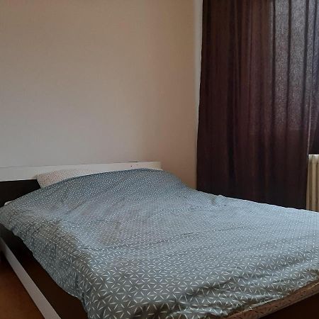 Ultracentral Apartment Bulevard Regele Mihai Nr 10, Sc A Ap 16 Τιμισοάρα Εξωτερικό φωτογραφία